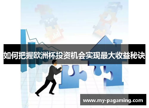 如何把握欧洲杯投资机会实现最大收益秘诀 如何把握欧洲杯投资机会实现最大收益秘诀