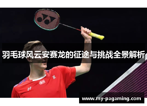 羽毛球风云安赛龙的征途与挑战全景解析