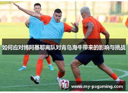 如何应对博阿基耶离队对青岛海牛带来的影响与挑战 如何应对博阿基耶离队对青岛海牛带来的影响与挑战