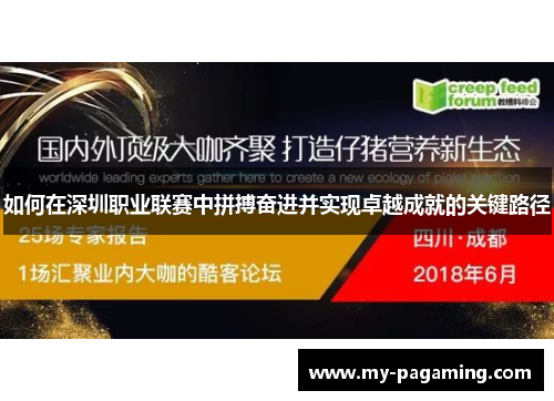 如何在深圳职业联赛中拼搏奋进并实现卓越成就的关键路径
