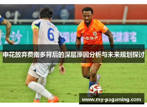 申花放弃费南多背后的深层原因分析与未来规划探讨