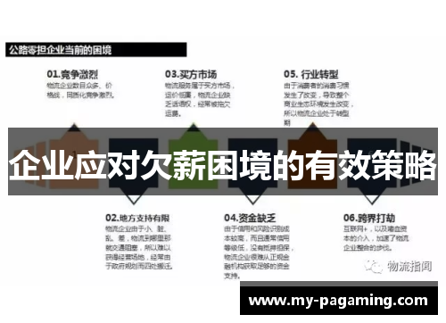 企业应对欠薪困境的有效策略