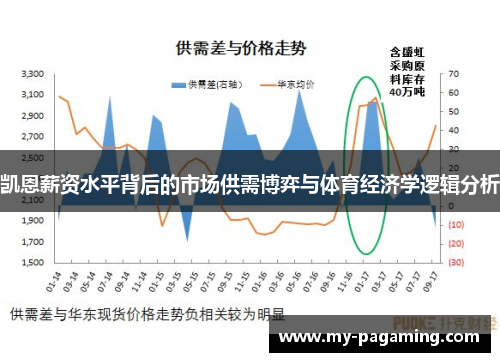 凯恩薪资水平背后的市场供需博弈与体育经济学逻辑分析