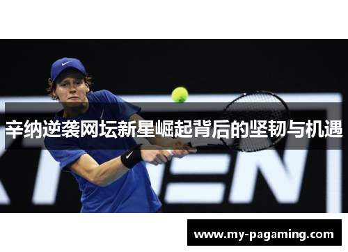 辛纳逆袭网坛新星崛起背后的坚韧与机遇
