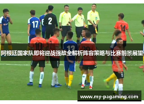 阿根廷国家队即将迎战强敌全解析阵容策略与比赛前景展望