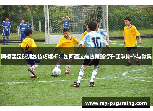 阿根廷足球训练技巧解析:如何通过高效策略提升团队协作与默契 阿根廷足球训练技巧解析:如何通过高效策略提升团队协作与默契