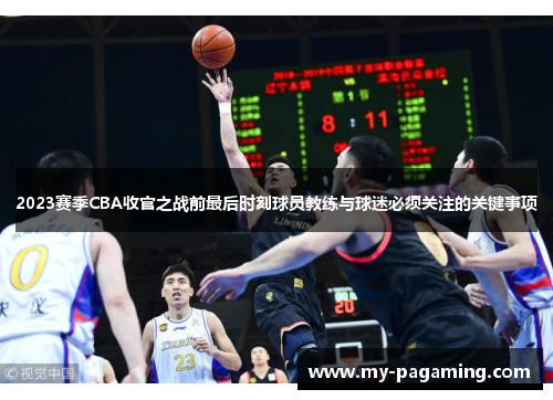 2023赛季CBA收官之战前最后时刻球员教练与球迷必须关注的关键事项