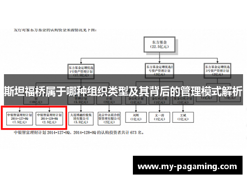 斯坦福桥属于哪种组织类型及其背后的管理模式解析