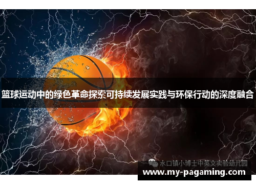 篮球运动中的绿色革命探索可持续发展实践与环保行动的深度融合