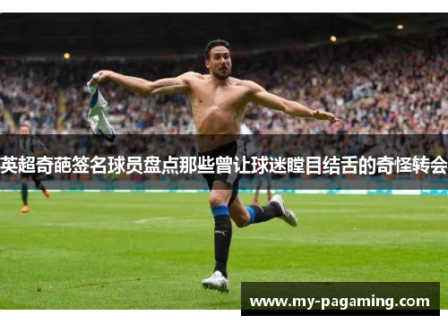 英超奇葩签名球员盘点那些曾让球迷瞠目结舌的奇怪转会 英超奇葩签名球员盘点那些曾让球迷瞠目结舌的奇怪转会