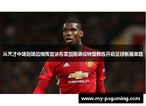 从天才中场到场边指挥官法布雷加斯退役转型教练开启足球新篇章路 从天才中场到场边指挥官法布雷加斯退役转型教练开启足球新篇章路