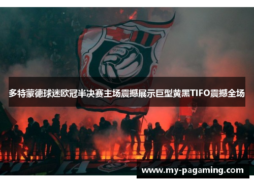 多特蒙德球迷欧冠半决赛主场震撼展示巨型黄黑TIFO震撼全场 多特蒙德球迷欧冠半决赛主场震撼展示巨型黄黑TIFO震撼全场
