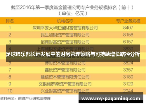 足球俱乐部长远发展中的财务管理策略与可持续增长路径分析